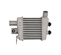 Intercooler THERMOTEC DA03003TT