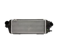 THERMOTEC DA03006TT Intercooler