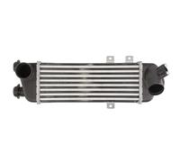 Intercooler THERMOTEC DA05001TT