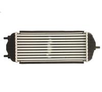 Intercooler THERMOTEC DA05006TT