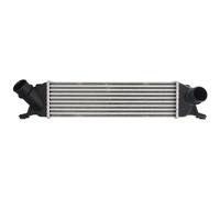 Intercooler THERMOTEC DA05013TT