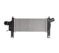 Intercooler THERMOTEC DA1001TT