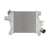 Intercooler THERMOTEC DA1011TT