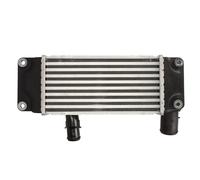 THERMOTEC DA2005TT Intercooler