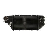 Intercooler THERMOTEC DA4002TT