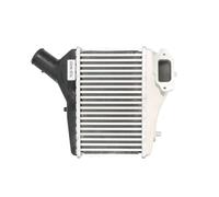Intercooler THERMOTEC DA4004TT