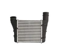 Intercooler THERMOTEC DAA001TT