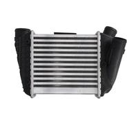 Intercooler THERMOTEC DAA002TT