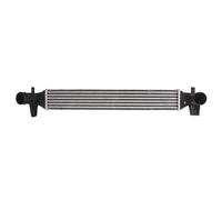 Intercooler THERMOTEC DAA006TT