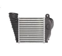 Intercooler THERMOTEC DAA009TT per VW BORA I (1J2) 1.9 2000-2005