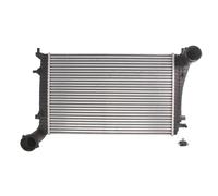 Intercooler THERMOTEC DAA010TT
