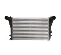 Intercooler THERMOTEC DAA011TT