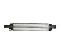 THERMOTEC DAA024TT Intercooler