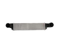 Thermotec Intercooler DAB002TT Alluminio per BMW 3 Coupé, X3