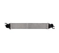 Intercooler THERMOTEC DAB008TT