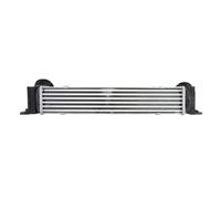 Intercooler THERMOTEC DAB009TT