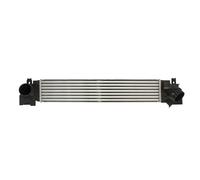 Intercooler THERMOTEC DAB024TT
