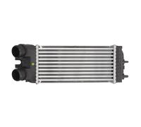 Intercooler THERMOTEC DAC002TT