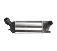 Intercooler THERMOTEC DAC009TT