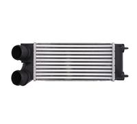 Intercooler THERMOTEC DAC013TT