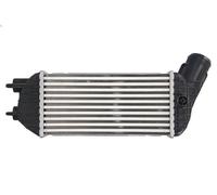 Intercooler THERMOTEC DAC017TT