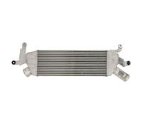 Intercooler THERMOTEC DAC022TT