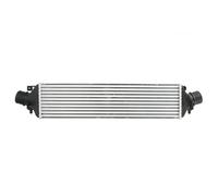 Intercooler THERMOTEC DAD005TT