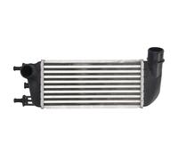 Intercooler THERMOTEC DAF010TT