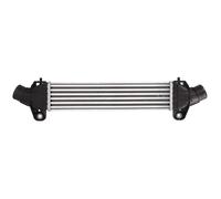 Intercooler THERMOTEC DAG009TT