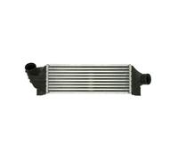 THERMOTEC DAG010TT Intercooler
