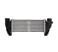 Intercooler THERMOTEC DAG031TT