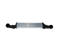 Intercooler THERMOTEC DAM002TT