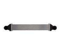 Intercooler THERMOTEC DAM007TT