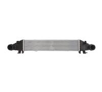 Intercooler THERMOTEC DAM008TT