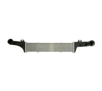 Intercooler THERMOTEC DAM010TT