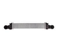 Intercooler THERMOTEC DAM011TT