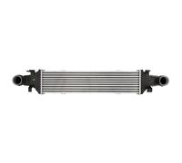 Intercooler THERMOTEC DAM018TT