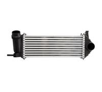 Thermotec Intercooler DAM019TT per Renault Kangoo Express 1.5 DCI 90