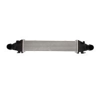 Intercooler THERMOTEC DAM025TT