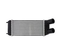 Thermotec Intercooler DAP006TT per FIAT Scudo (270/272) e Ulysse 2 (2006-2011)