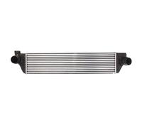 Intercooler THERMOTEC DAR008TT