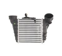 Intercooler THERMOTEC DAT001TT
