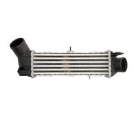 Intercooler THERMOTEC DAT002TT