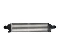 Intercooler THERMOTEC DAV006TT