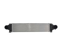 Intercooler THERMOTEC DAV007TT