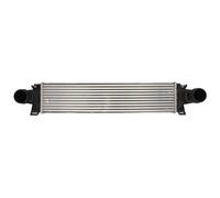 Intercooler THERMOTEC DAV008TT