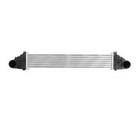 THERMOTEC DAV011TT Intercooler