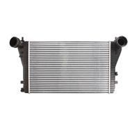 Intercooler THERMOTEC DAW005TT