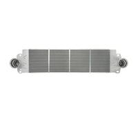 Intercooler THERMOTEC DAW007TT
