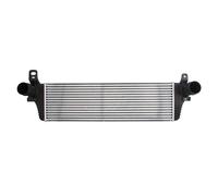 Intercooler THERMOTEC DAW010TT